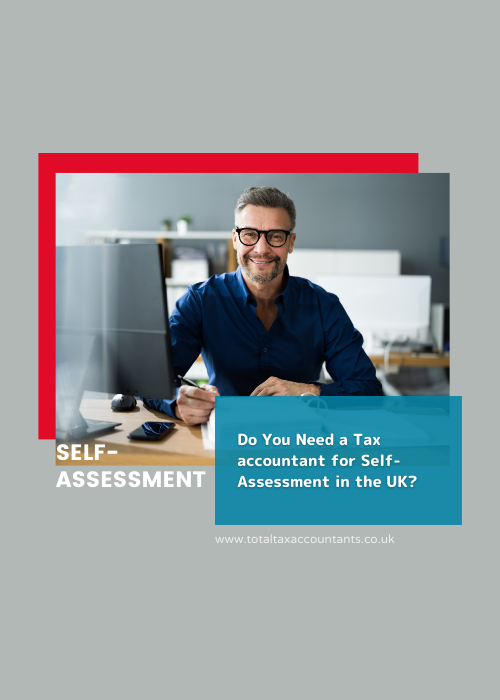 Do You Need a Tax accountant for Self-Assessment?