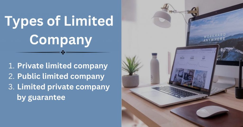 Private limited company setup